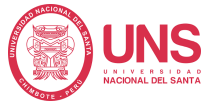 Universidad Nacional del Santa